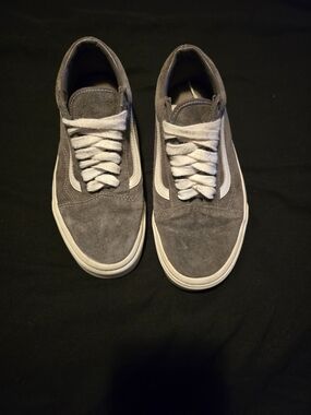 Vans Gray Suede Low-Top Sneakers with White Stripe